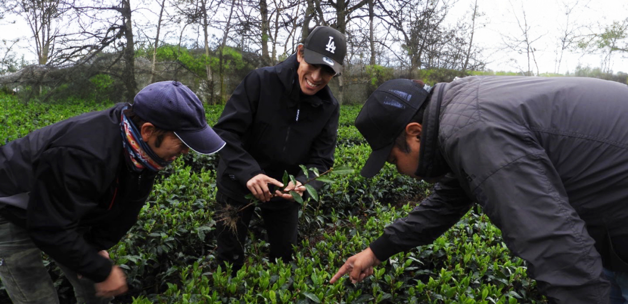 真輝園の人々の写真