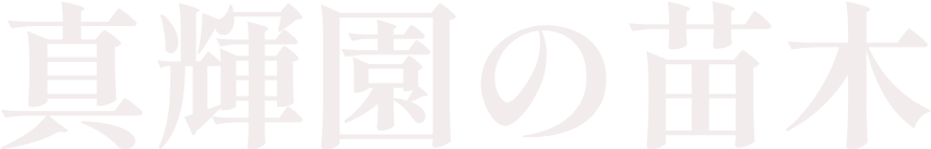 真輝園の苗木